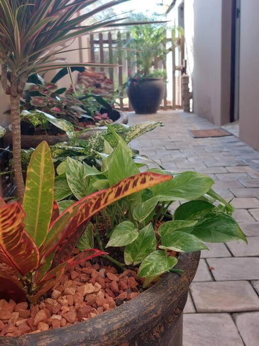 Apartament Hide Away On 21 Mossel Bay Zewnętrze zdjęcie